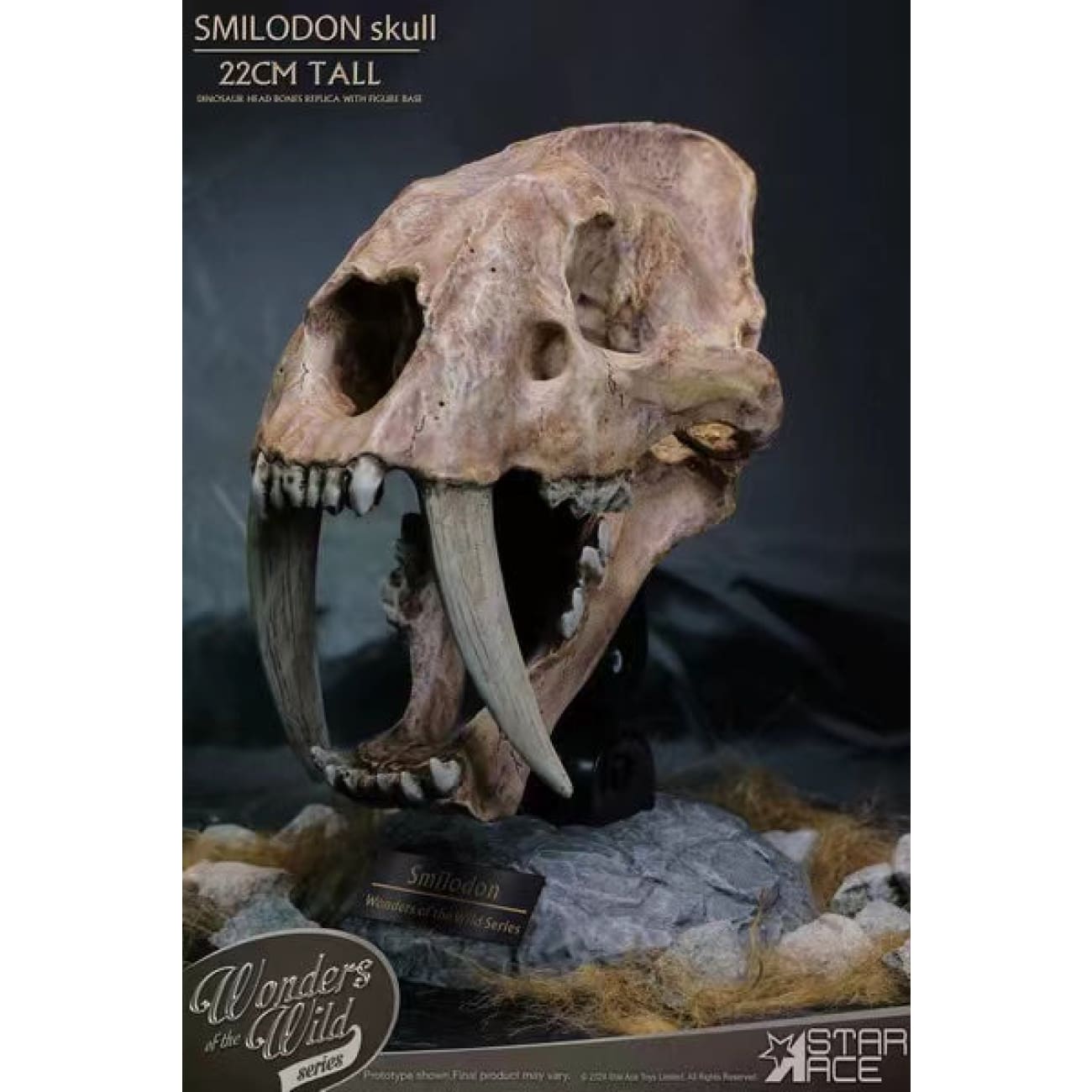Star Ace Toys - Smilodon Skull Fossil [SA5040]