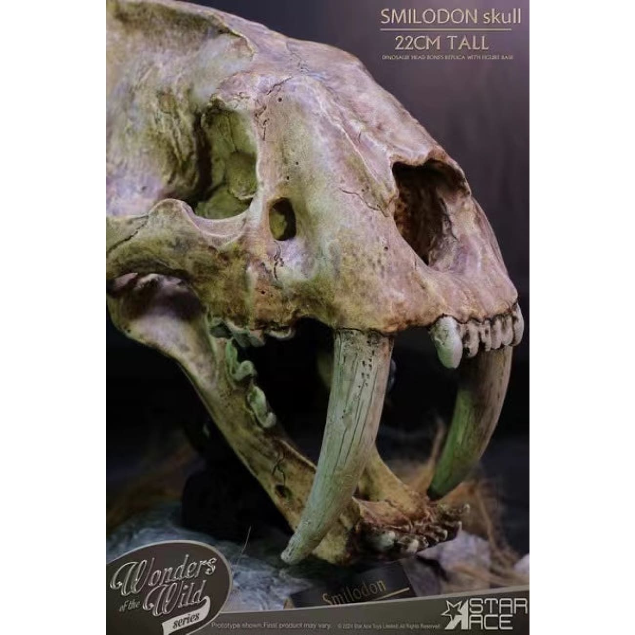 Star Ace Toys - Smilodon Skull Fossil [SA5040]