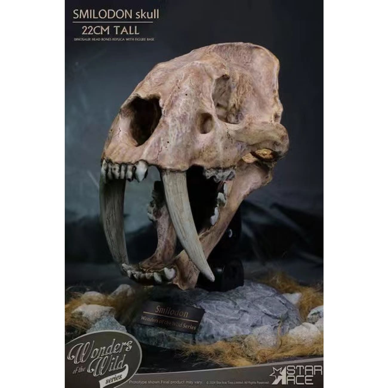 Star Ace Toys - Smilodon Skull Fossil [SA5040]