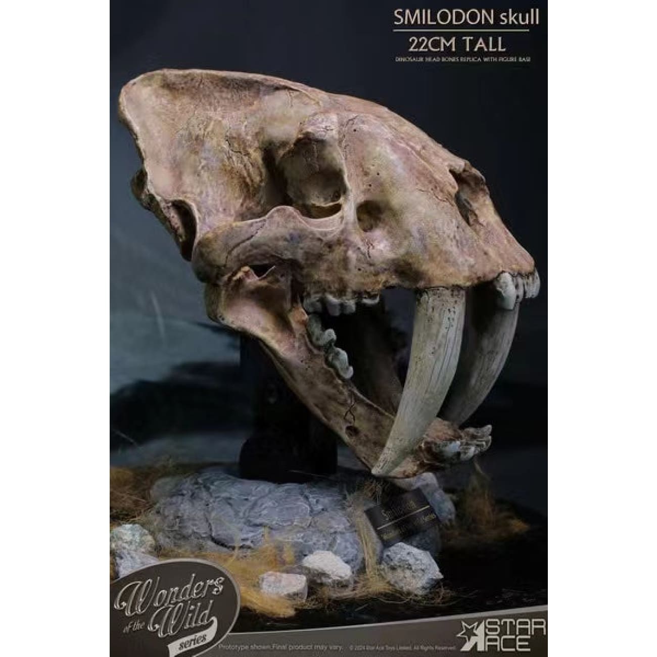 Star Ace Toys - Smilodon Skull Fossil [SA5040]