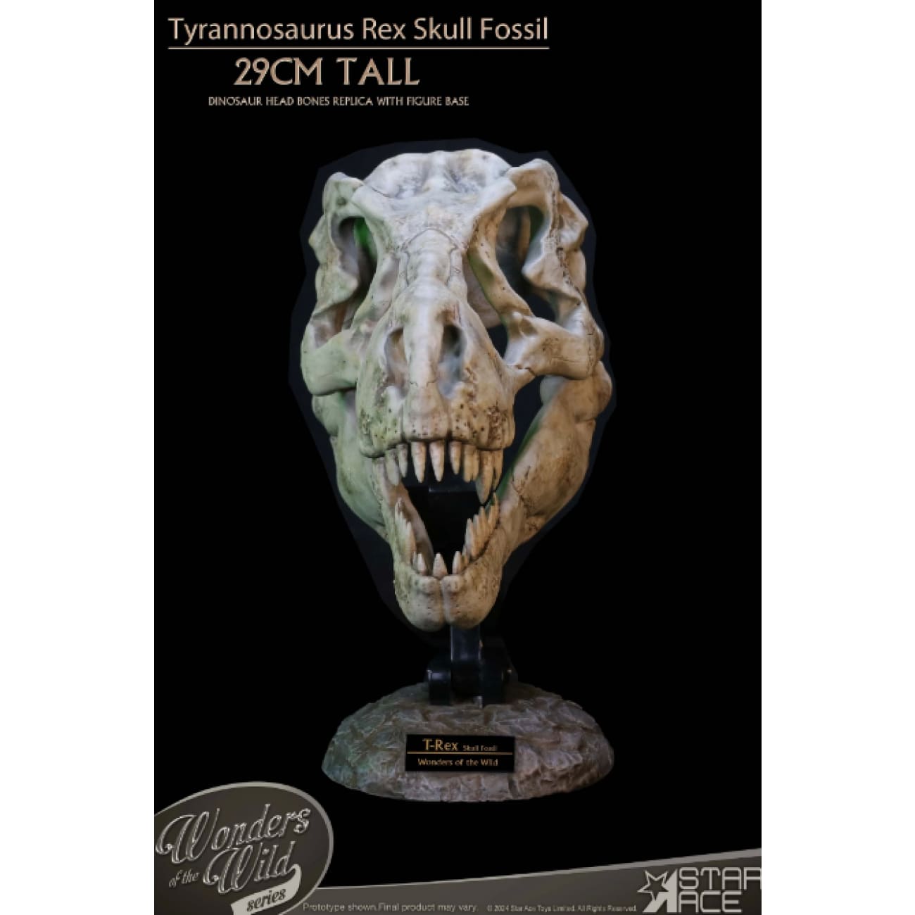 Star Ace Toys - Tyrannosaurus Rex Skull Fossil [SA5043]