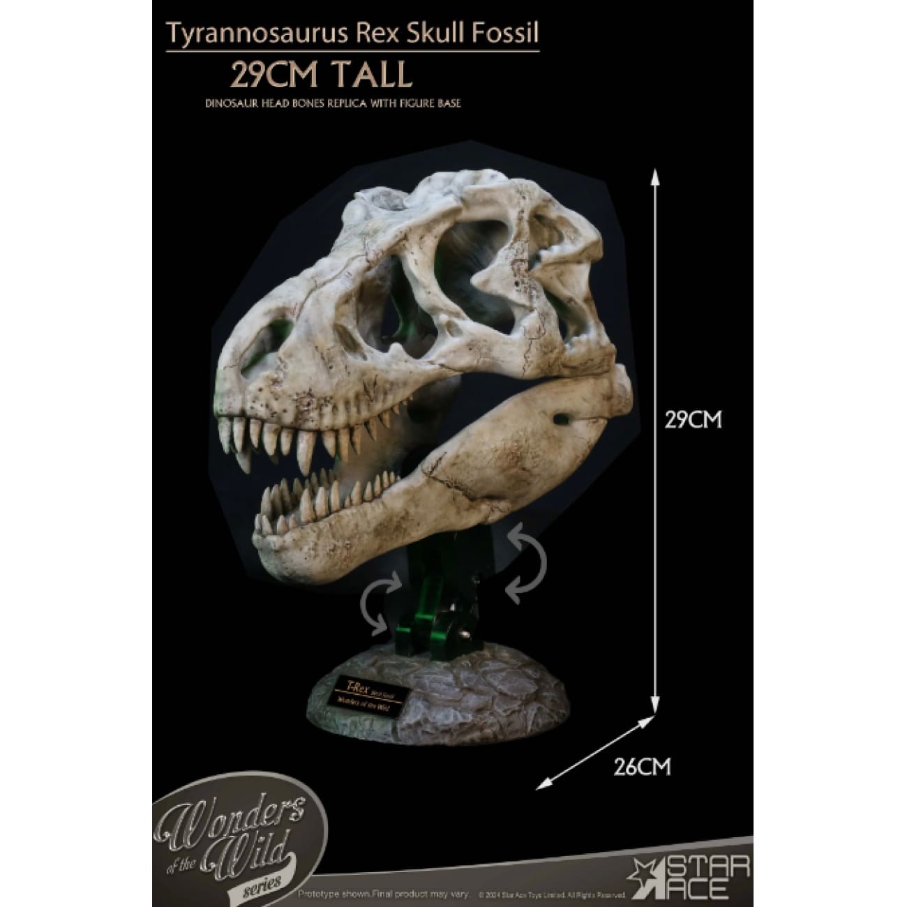 Star Ace Toys - Tyrannosaurus Rex Skull Fossil [SA5043]