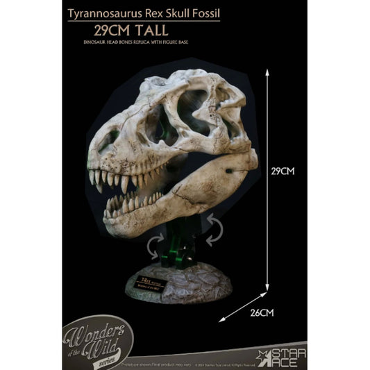 Star Ace Toys - Tyrannosaurus Rex Skull Fossil [SA5043]