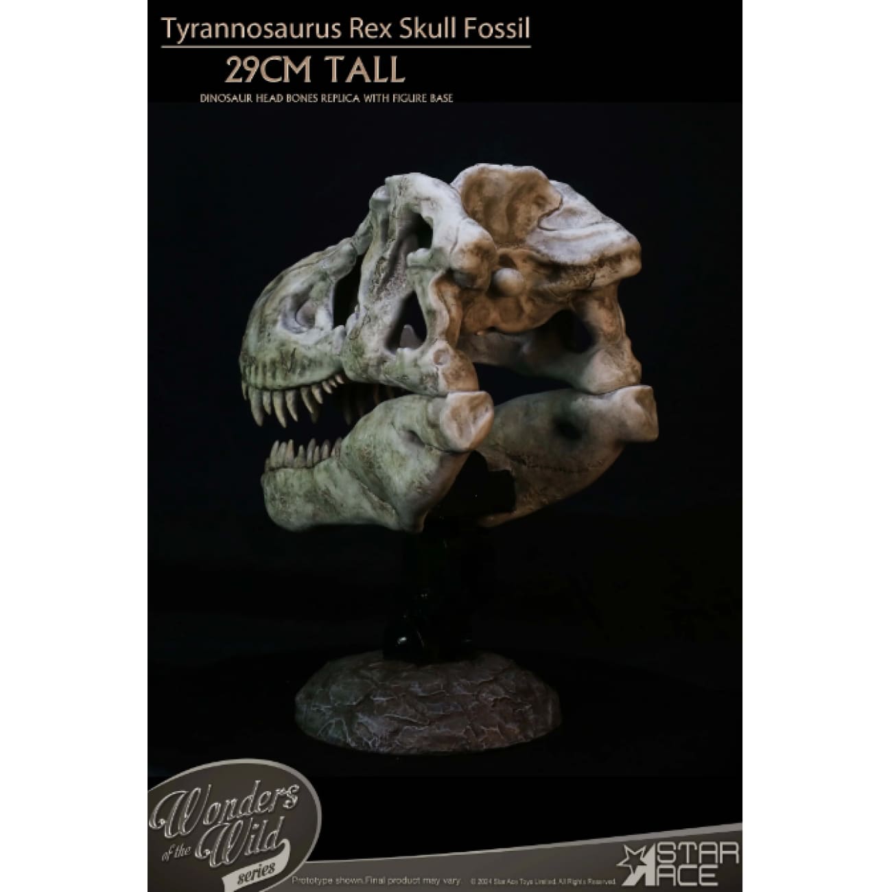 Star Ace Toys - Tyrannosaurus Rex Skull Fossil [SA5043]