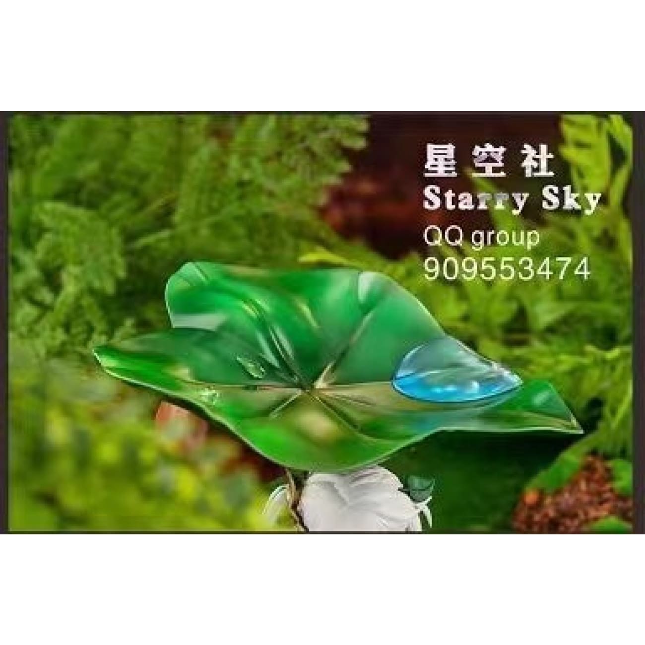 Starry Sky Studio - Nahida [Version A / Version B]