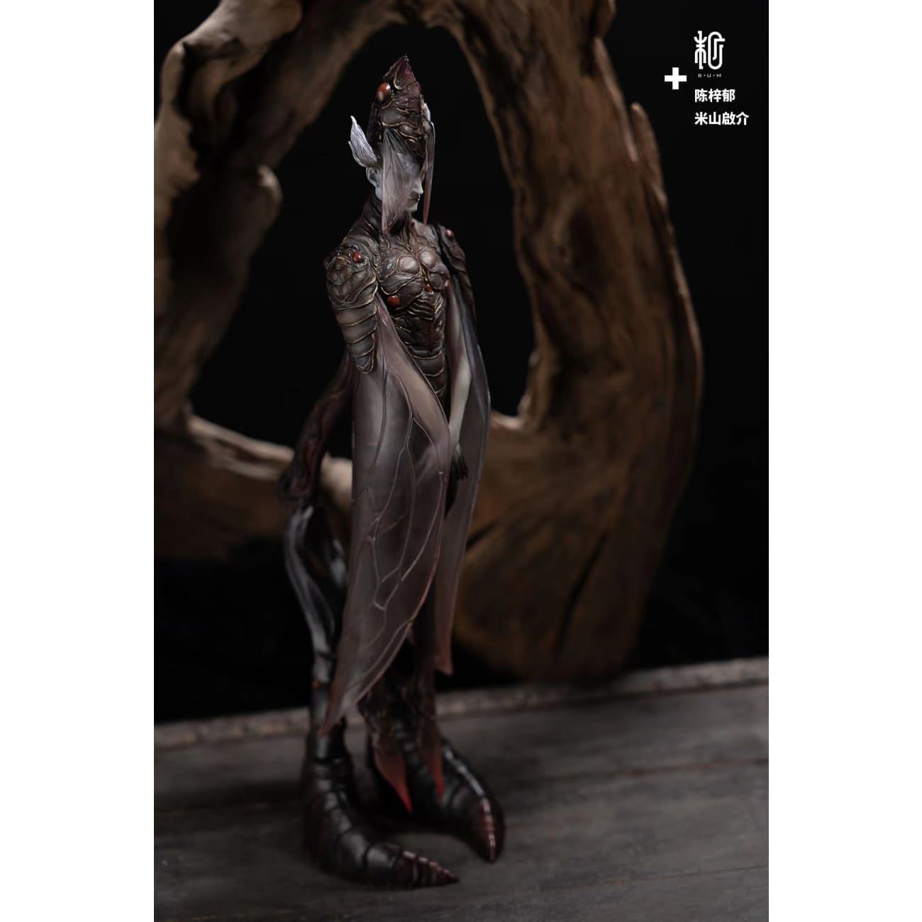 SUM Collaboration Artist - Black Cicadidae 