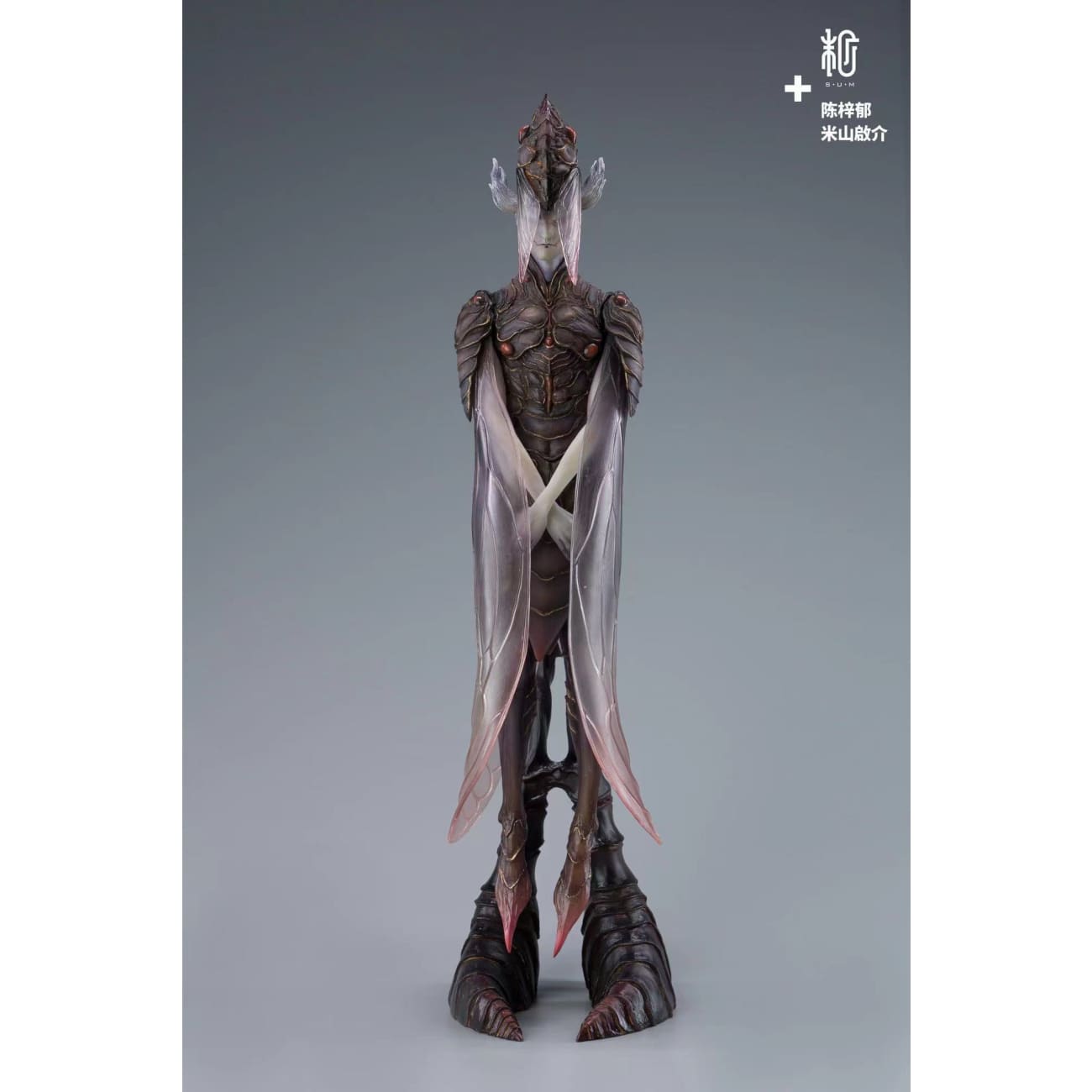 SUM Collaboration Artist - Black Cicadidae 