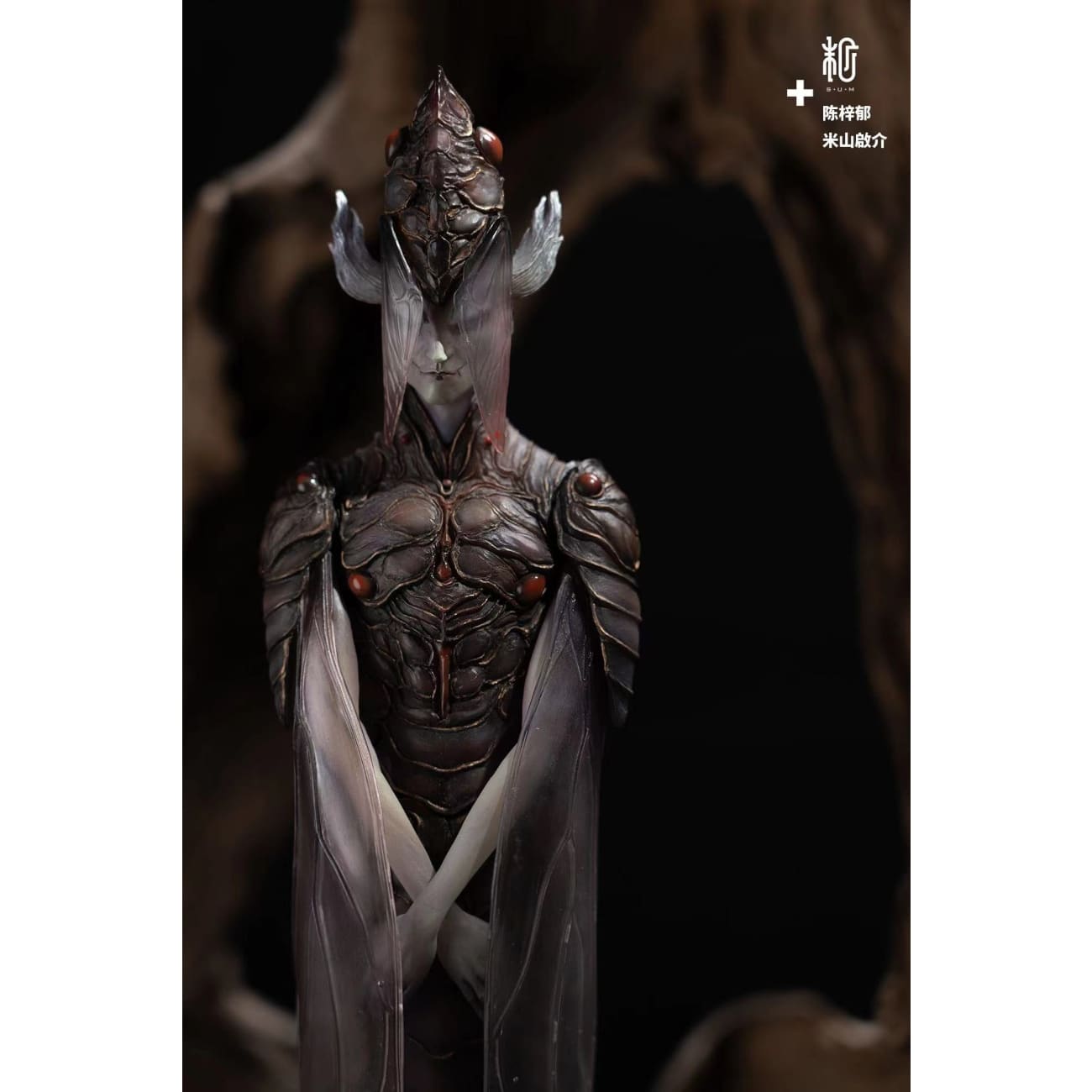 SUM Collaboration Artist - Black Cicadidae 