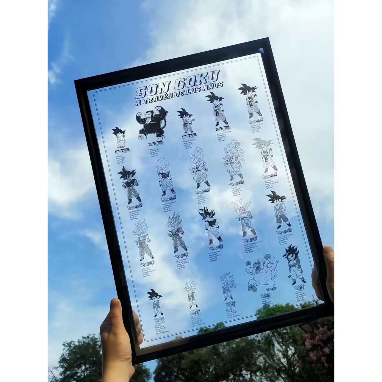 Sun Goku From 11 to 51 Years Old Acrylic Photo Frame [38cm x 53cm]