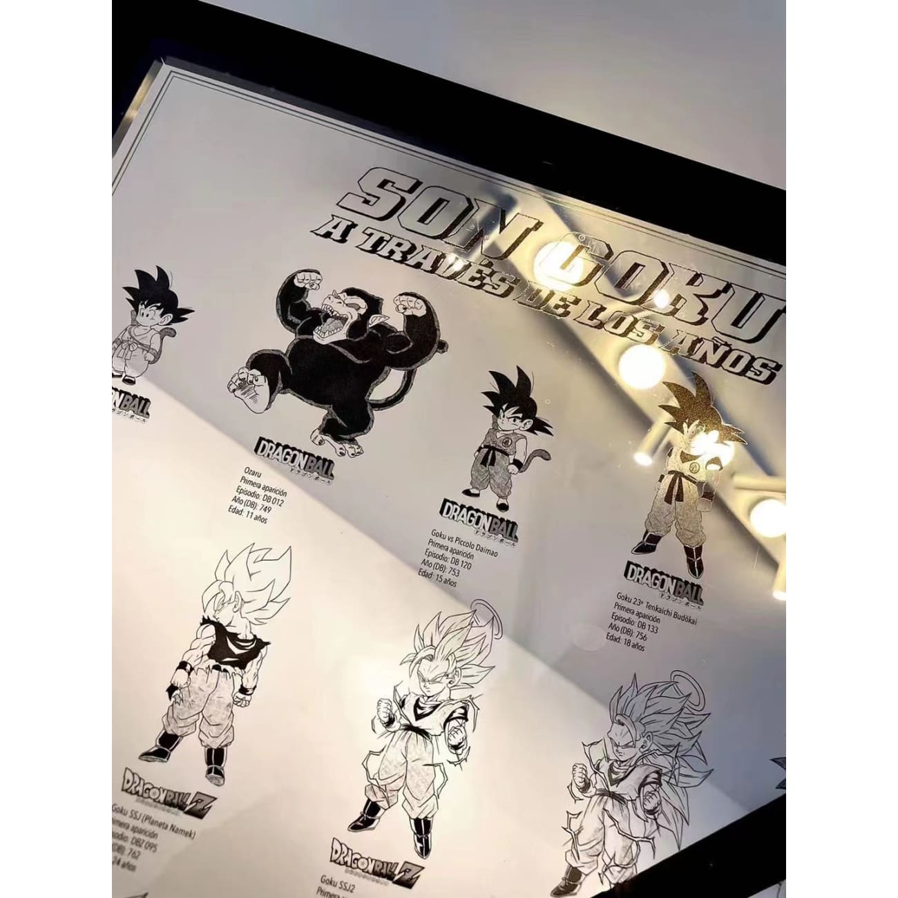 Sun Goku From 11 to 51 Years Old Acrylic Photo Frame [38cm x 53cm]