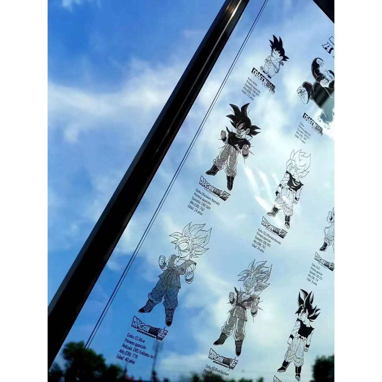 Sun Goku From 11 to 51 Years Old Acrylic Photo Frame [38cm x 53cm]