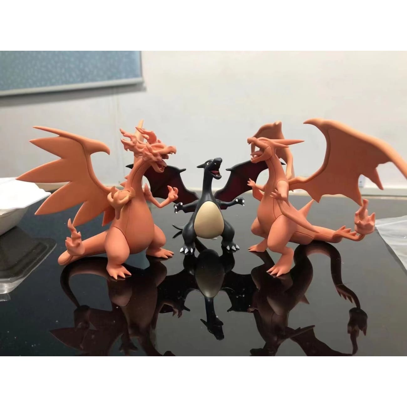Sun Studio - Charizard X & Charizard Y