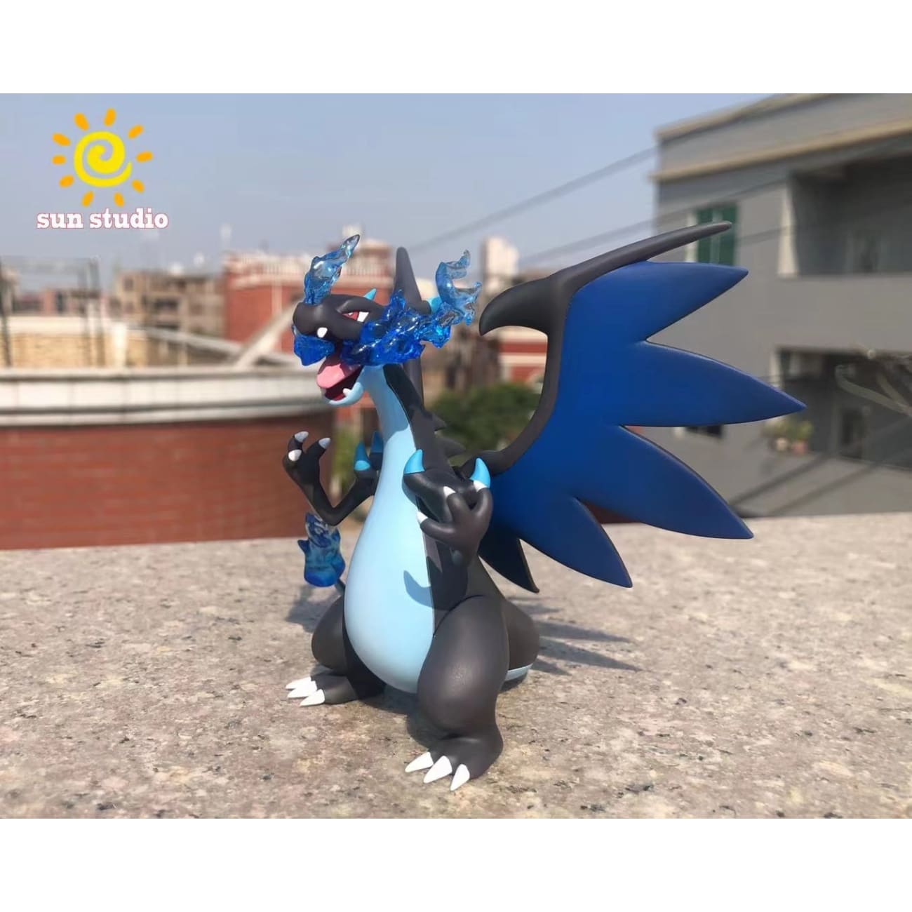 Sun Studio - Charizard X & Charizard Y