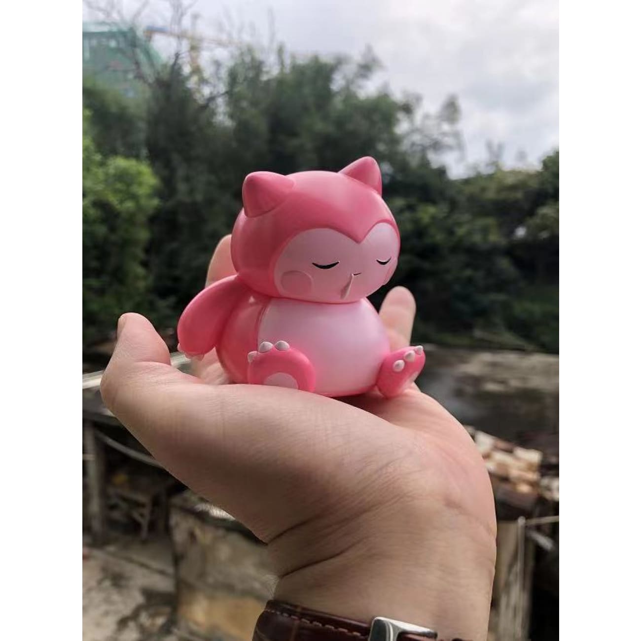 Sun Studio -  Pinkish Sleeping Snorlax