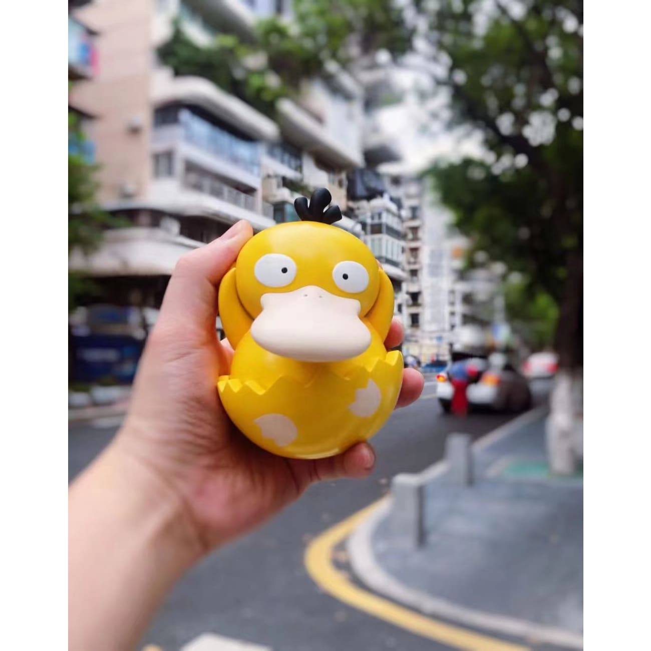 Sun Studio - Psyduck