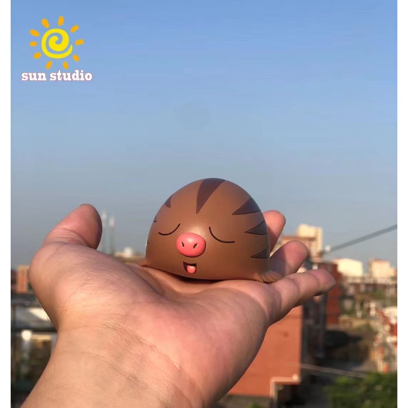 Sun Studio - Swinub 