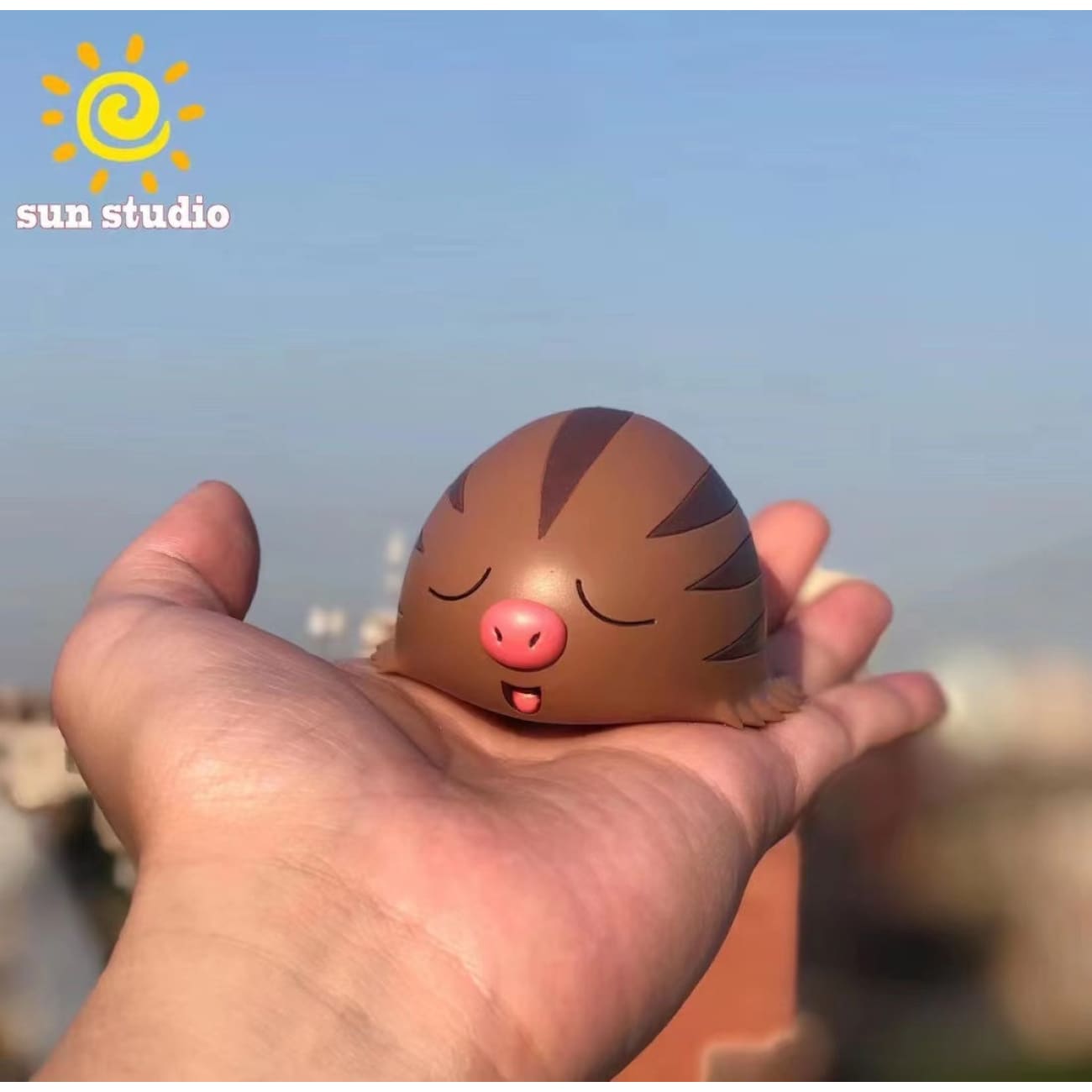 Sun Studio - Swinub 