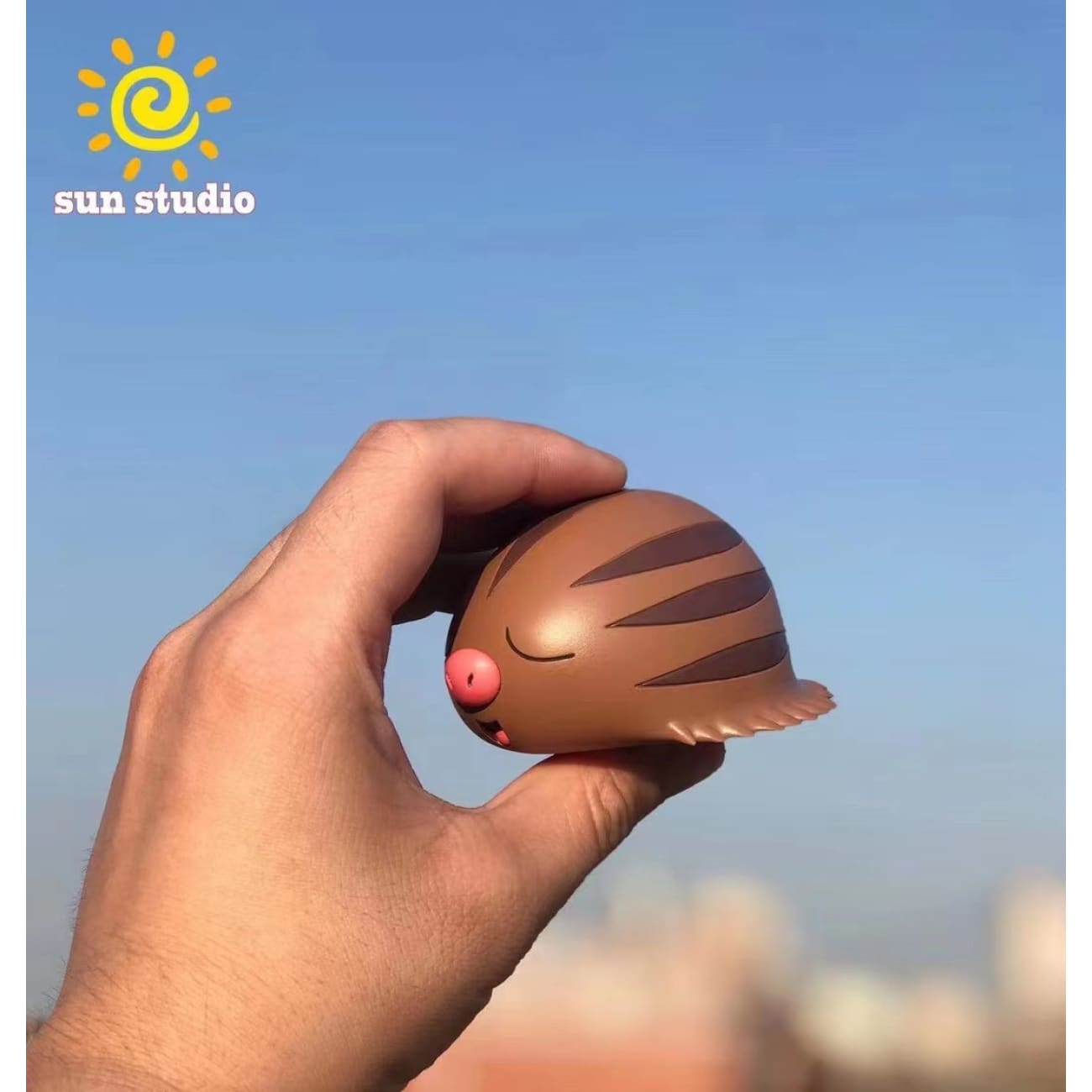 Sun Studio - Swinub 