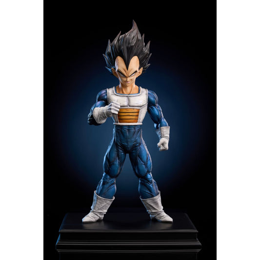 To Youth Studio - Vegeta