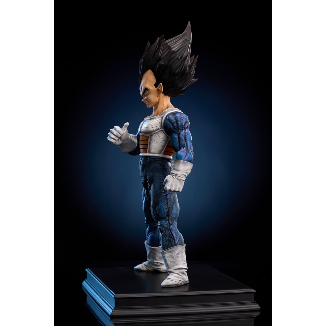 To Youth Studio - Vegeta