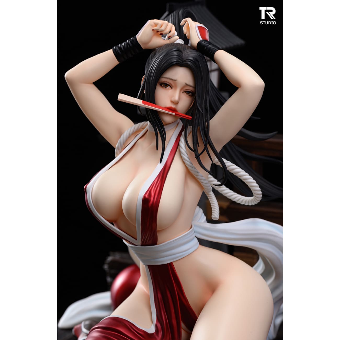 TR Studio - Mai Shiranui [Standard / EX version]