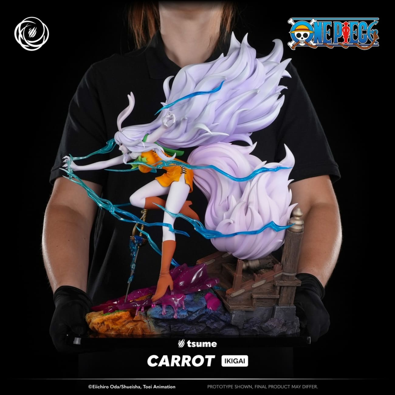 Tsume Studio - Carrot IKIGAI