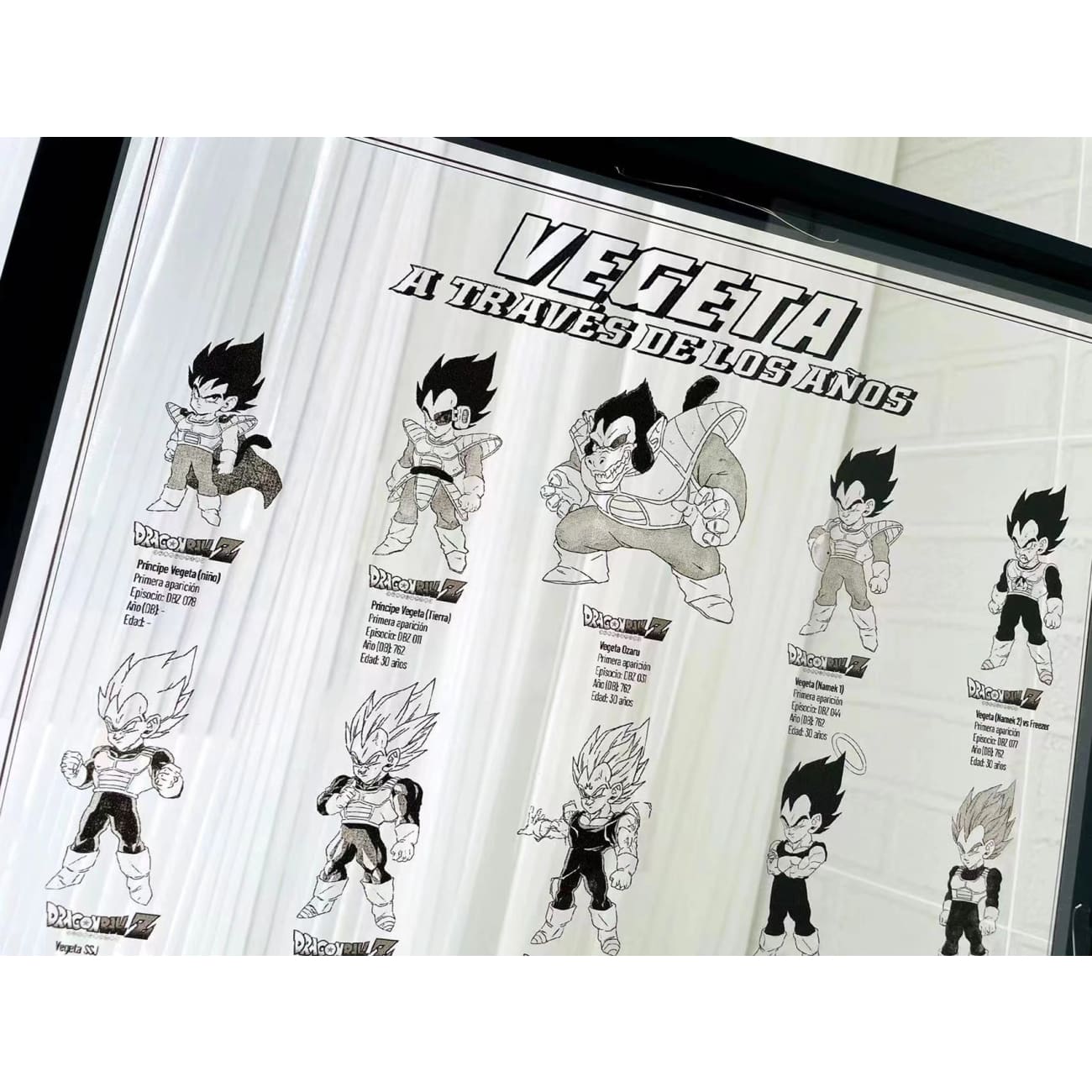 Vegeta From 5 to 58 Years Old Acrylic Photo Frame [38cm x 53cm]