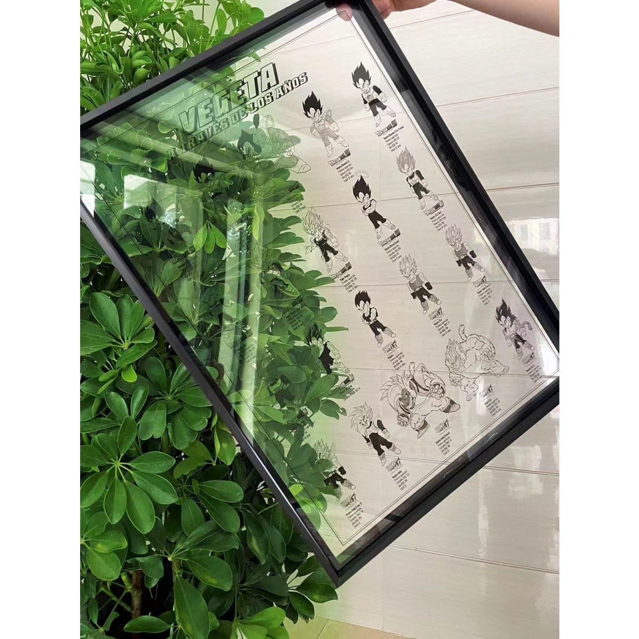 Vegeta From 5 to 58 Years Old Acrylic Photo Frame [38cm x 53cm]