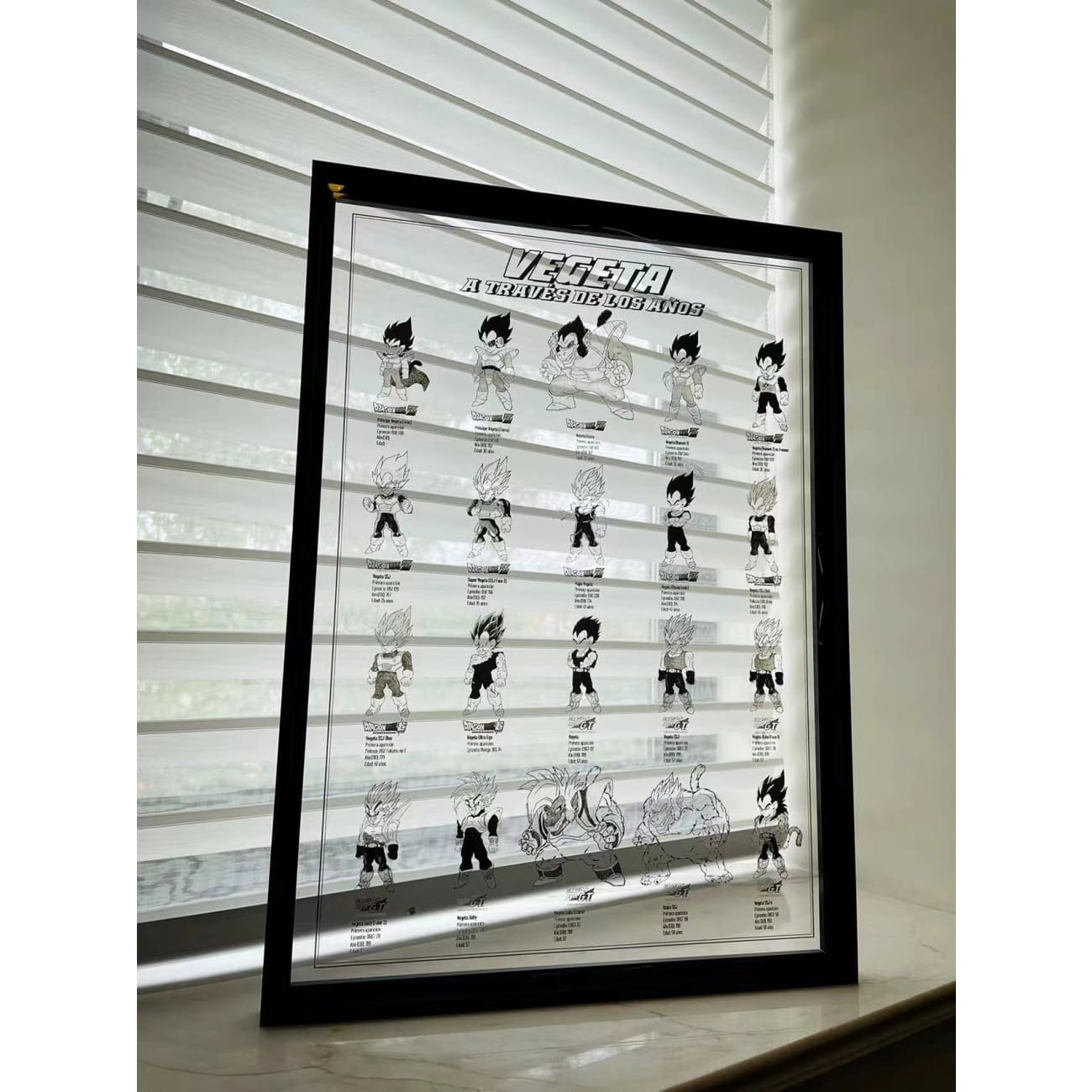 Vegeta From 5 to 58 Years Old Acrylic Photo Frame [38cm x 53cm]