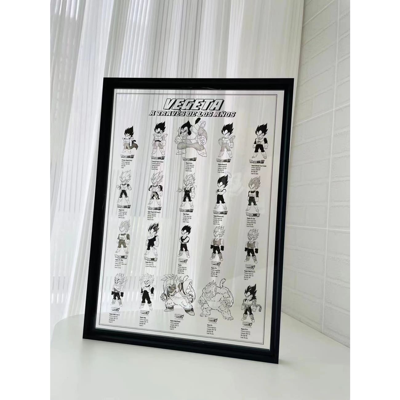 Vegeta From 5 to 58 Years Old Acrylic Photo Frame [38cm x 53cm]