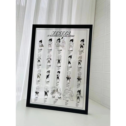 Vegeta From 5 to 58 Years Old Acrylic Photo Frame [38cm x 53cm]