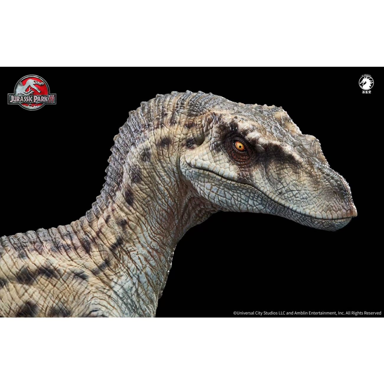 W-Dragon Studio - Velociraptor Female