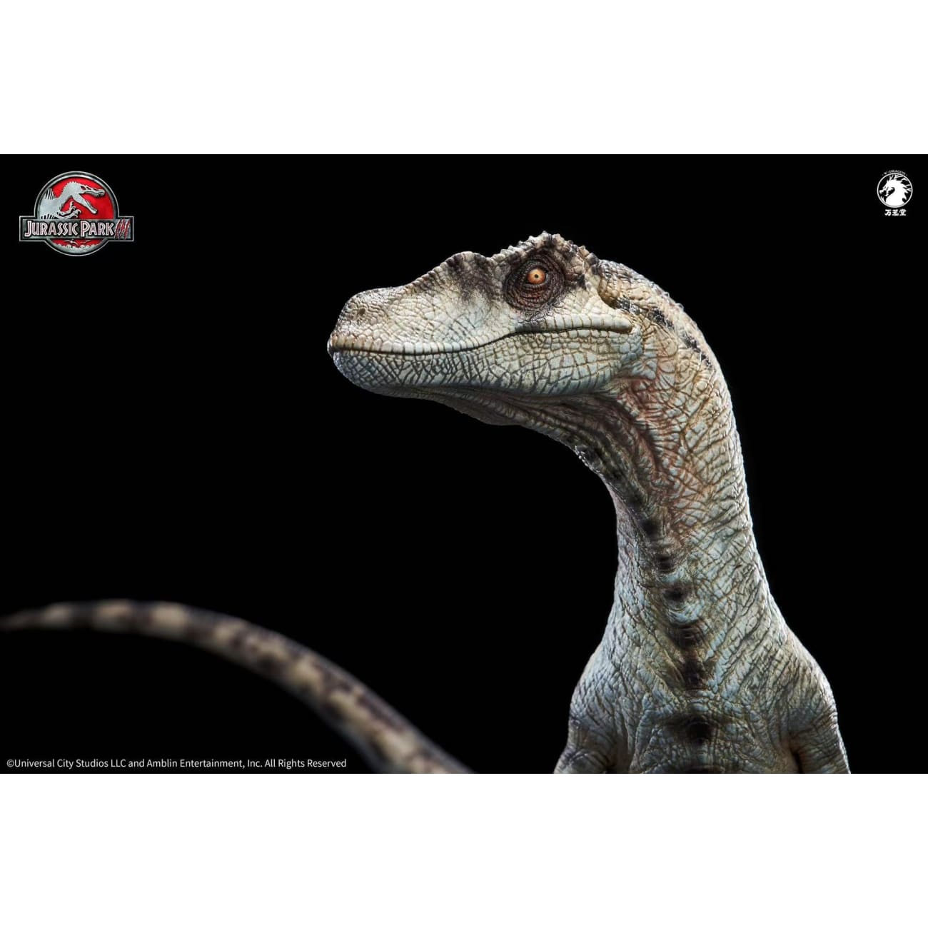 W-Dragon Studio - Velociraptor Female