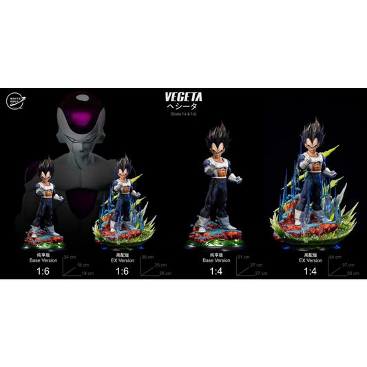 White Hole Studio - Vegeta Basic Armor [8 Variants]