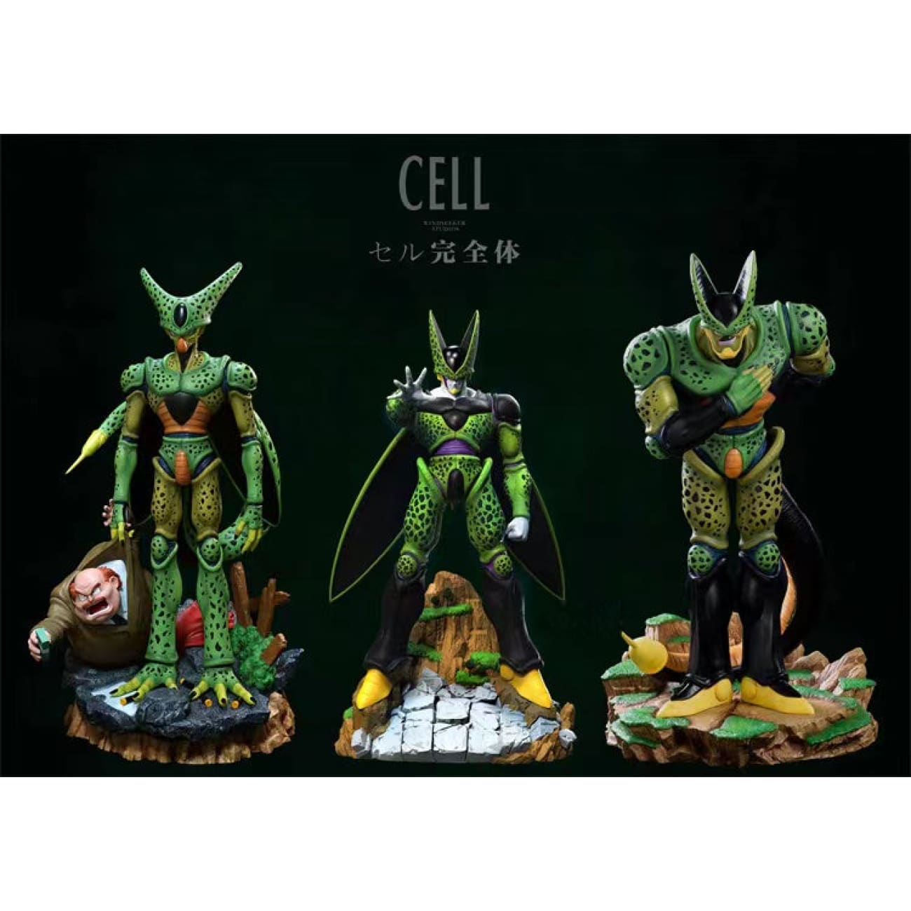 Windseeker Studio - Cell