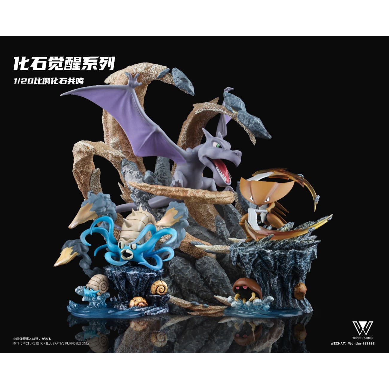 Wonder Studio - Aerodactyl [4 Variants]