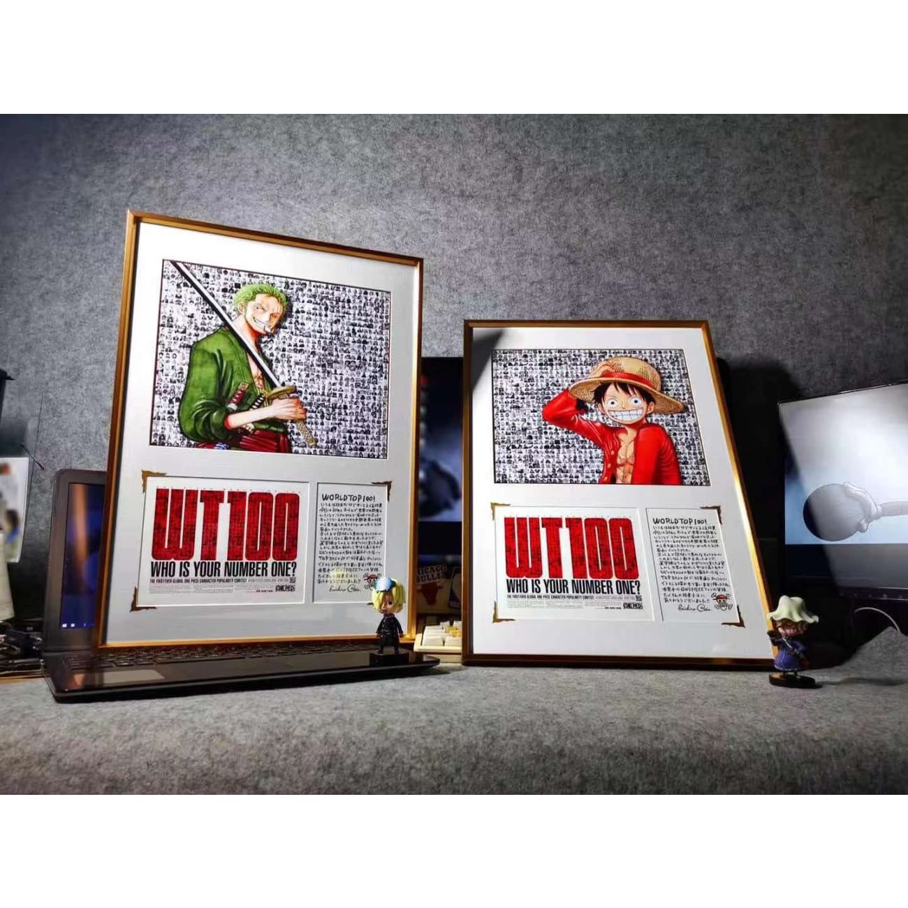  Monkey D. Luffy/ Roronoa Zoro Frame