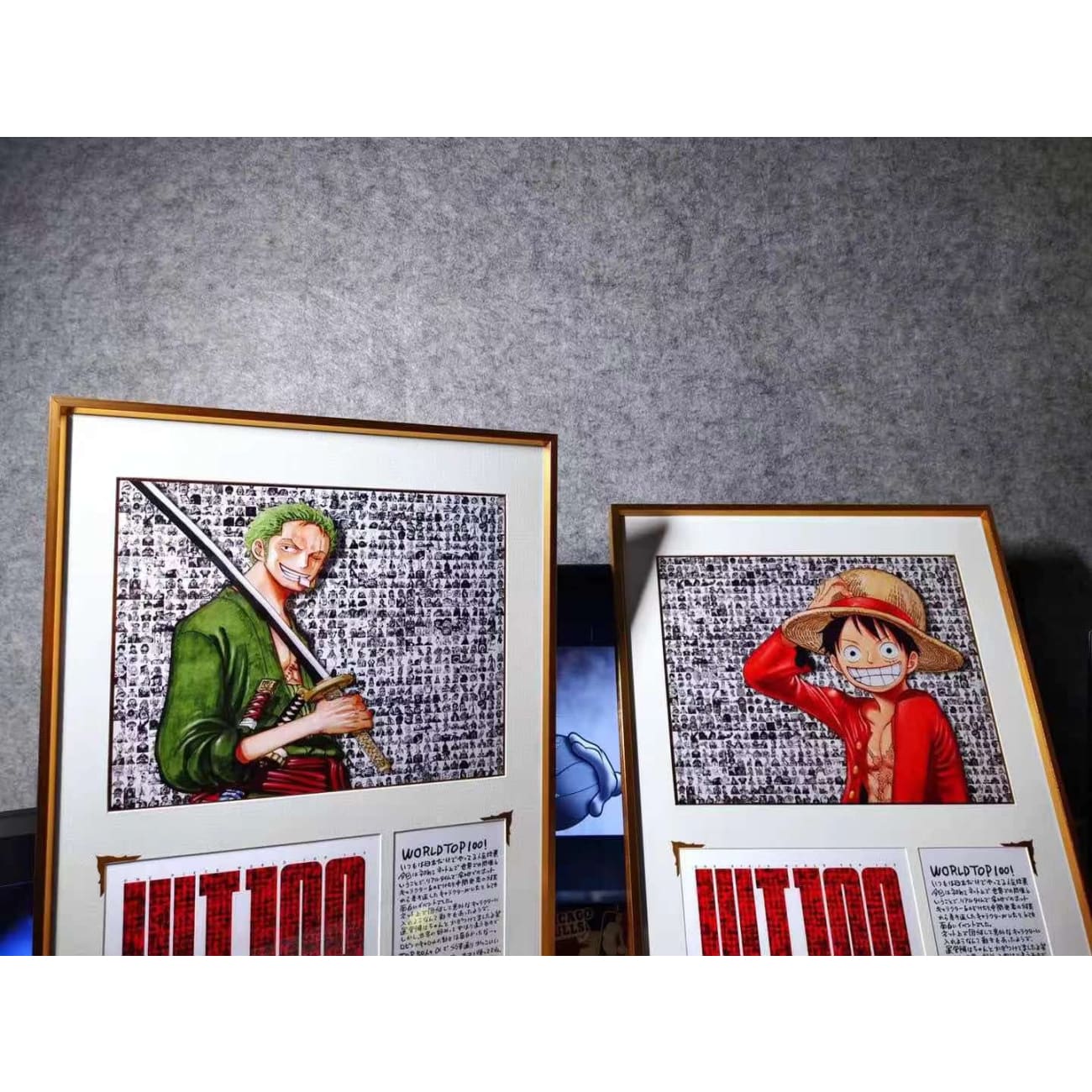  Monkey D. Luffy/ Roronoa Zoro Frame