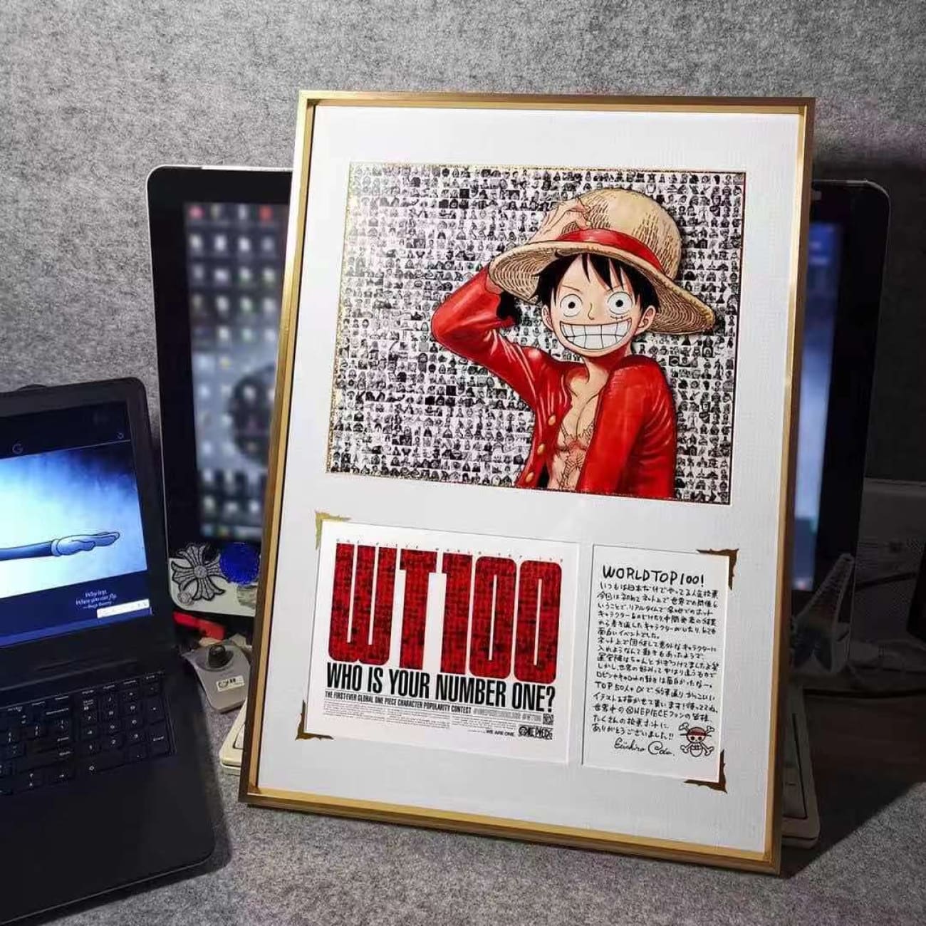  Monkey D. Luffy/ Roronoa Zoro Frame
