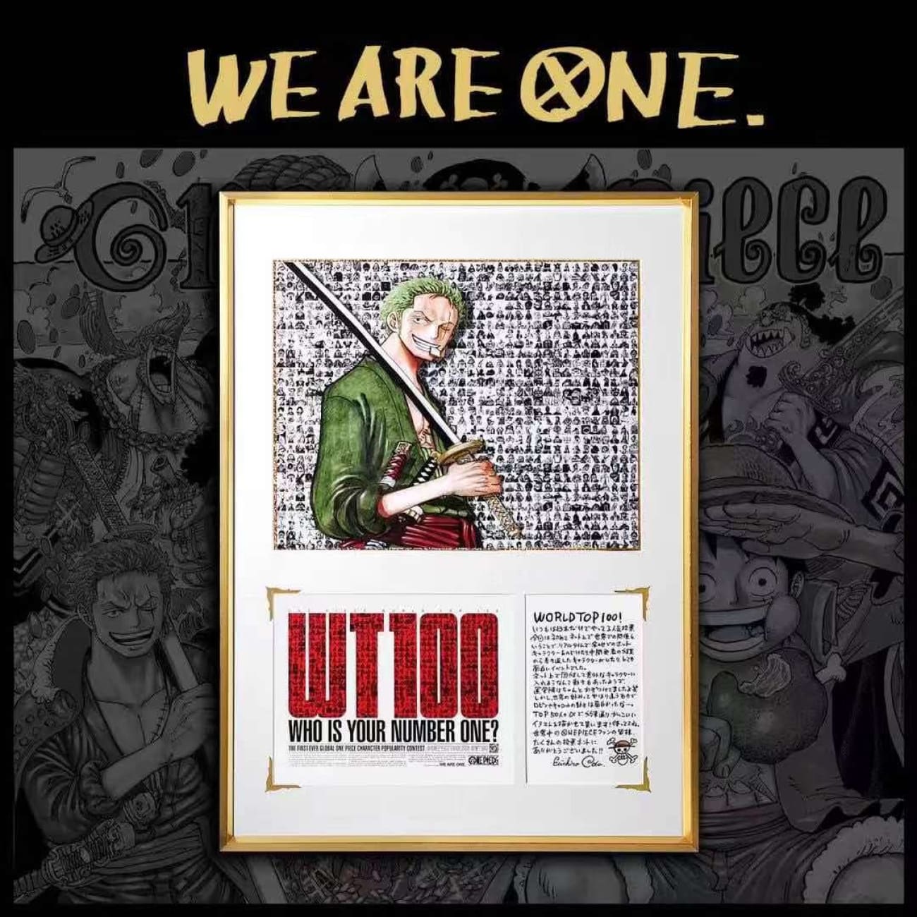  Monkey D. Luffy/ Roronoa Zoro Frame