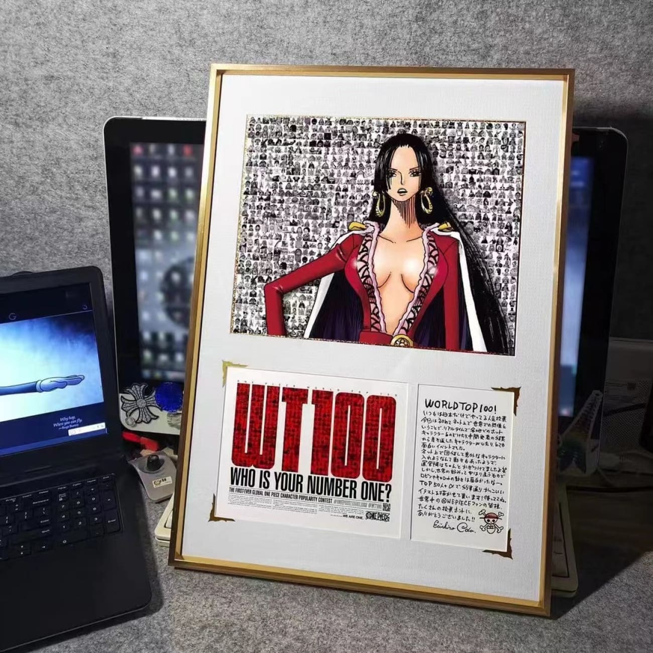 World Top 100/ WT100 - Carrot Poster Frame/ Boa Hancock Poster Frame