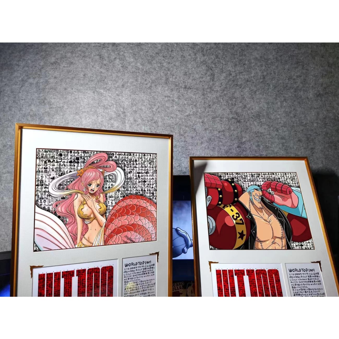 WT100 - Franky / Shirahoshi WT100 Poster Frame