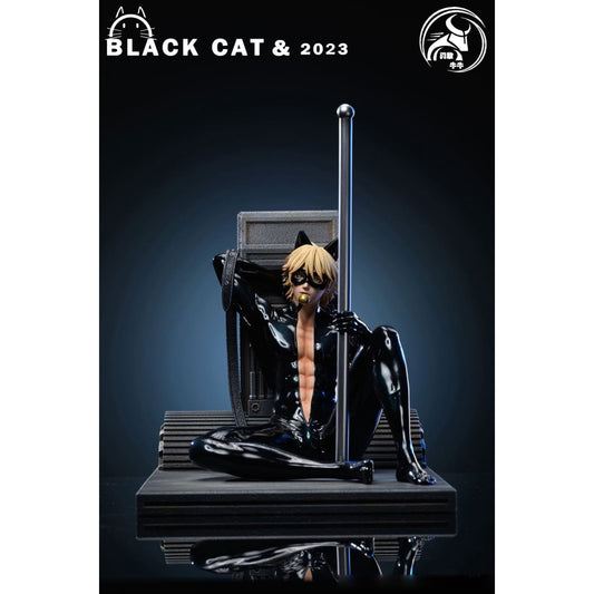 YGNN Studio - Adrien Agreste Black Cat Ver.