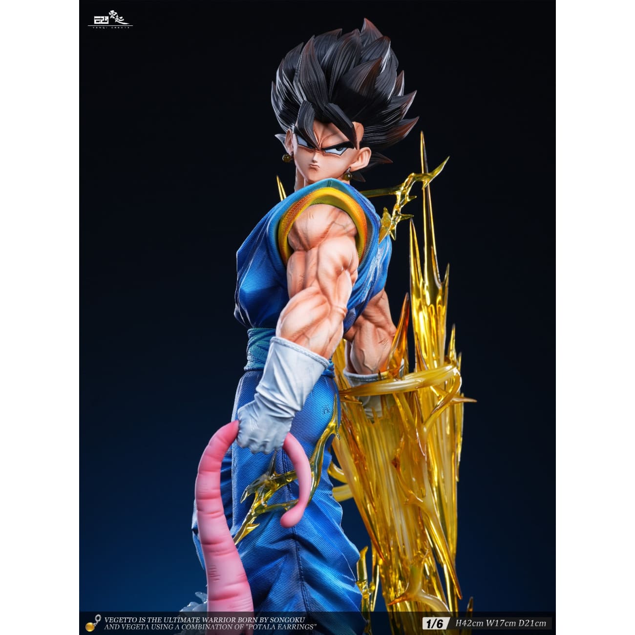 Yun Qi Studio - Vegetto