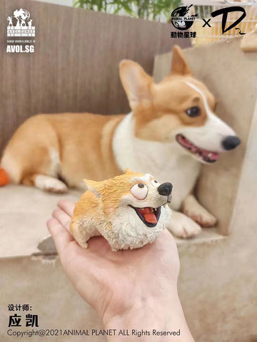 Animal Planet - Corgi