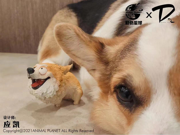 Animal Planet - Corgi