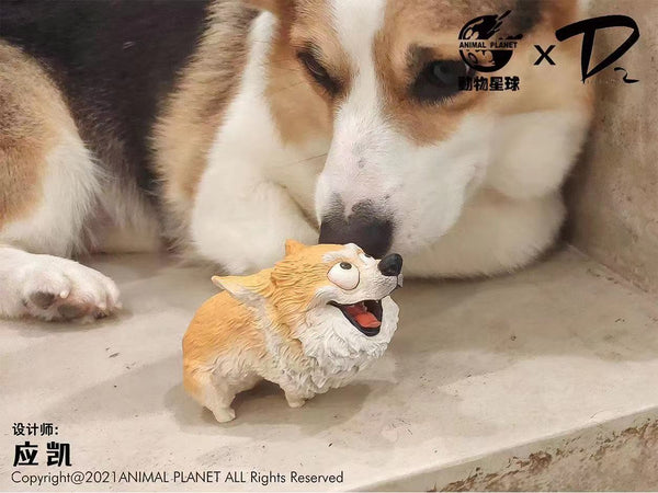 Animal Planet - Corgi