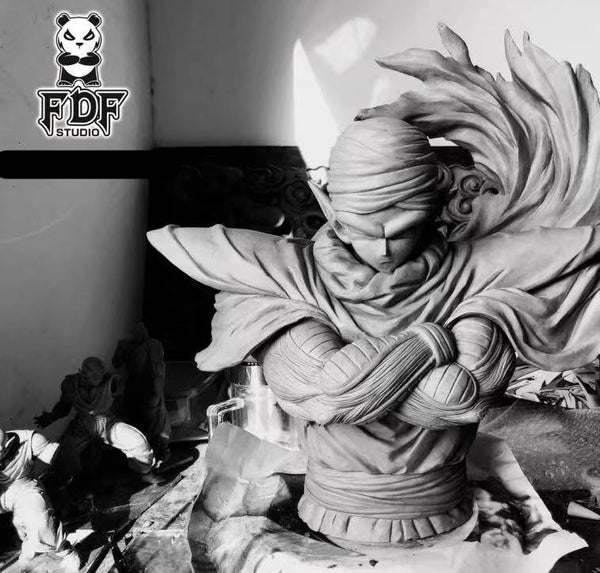  FDF Studio - Piccolo