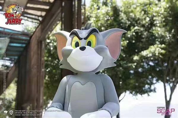 Soap Studio - Tom on Jerry