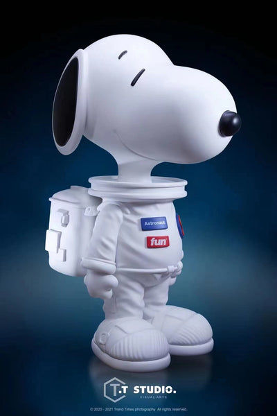 T.T Studio - NASA Snoopy